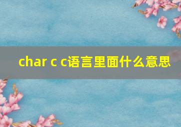 char c c语言里面什么意思